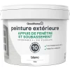 Castorama Peinture Appuis De Fenêtre GoodHome Blanc 2,5L