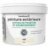 Castorama Peinture Appuis De Fenêtre GoodHome Crème Vail 2,5L
