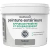 Castorama Peinture Appuis De Fenêtre GoodHome Gris Hudson 2,5L