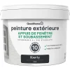 Castorama Peinture Appuis De Fenêtre GoodHome Noir Liberty 2,5L