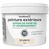 Castorama Peinture Appuis De Fenêtre GoodHome Ton Pierre 2,5L