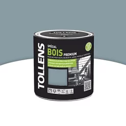 Castorama Peinture Bois Extérieur Premium Acier Satin Tollens 0,5L
