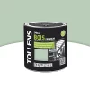 Castorama Peinture Bois Extérieur Premium Vert Olivier Satin Tollens 0,5L