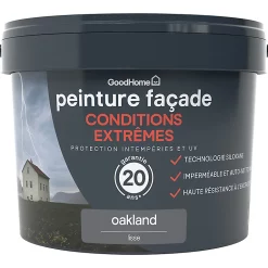 Castorama Peinture Façade Autonettoyante Premium GoodHome Gris Oakland 10L