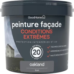 Castorama Peinture Façade Autonettoyante Premium GoodHome Gris Oakland 5L