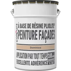 Castorama Peinture Façade Pliolite Colours Dominica 5L