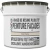 Castorama Peinture Façade Pliolite® Colours Ton Pierre 10L