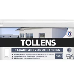 Castorama Peinture Façade Tollens Express Blanc 2,5L