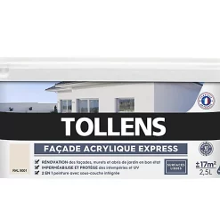 Castorama Peinture Façade Tollens Express Ton Pierre 2,5L