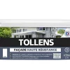 Castorama Peinture Façade Tollens Haute Résistance Blanc 2,5L