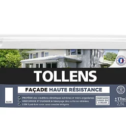 Castorama Peinture Façade Tollens Haute Résistance Blanc 2,5L