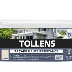 Castorama Peinture Façade Tollens Haute Résistance Ton Pierre 2,5L