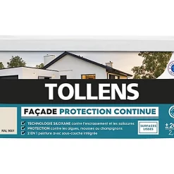 Castorama Peinture Façade Tollens Protection Continue Ton Pierre 2,5L