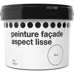 Castorama Peinture Façadeaspect Lisse Blanc 10L
