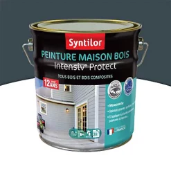 Castorama Peinture Maison Bois Intensiv Protect Syntilor Gris Foncé 2L
