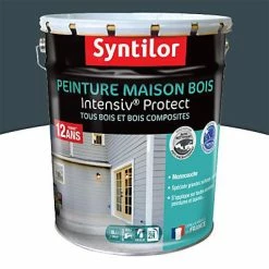 Castorama Peinture Maison Bois Intensiv Protect Syntilor Gris Foncé 8L