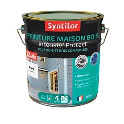 Castorama Peinture Maison Bois Intensiv Protect Syntilor Intérieur Extérieur Blanc 2L