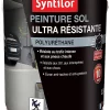 Castorama Peinture Pour Sol Ultra Résistante Acier Satin Syntilor 2,5L