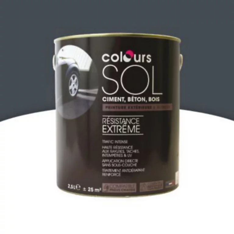 Castorama Peinture Sol Colours Premium Basalte Satin 2,5L 1 Castorama Peinture Sol Colours Premium Basalte Satin 2,5L