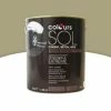 Castorama Peinture Sol Colours Premium Pierre Satin 2,5L