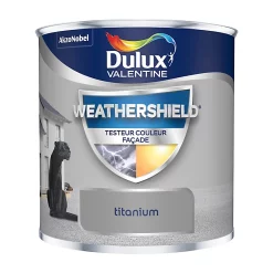 Castorama Testeur De Peinture Weathershield Toutes Conditions Climatiques Dulux Valentine Mat Titanium 250ml
