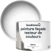Castorama Testeur Peinture Façade GoodHome Blanc Pur Mat 350ml