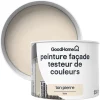 Castorama Testeur Peinture Façade GoodHome Ton Pierre Mat 350ml